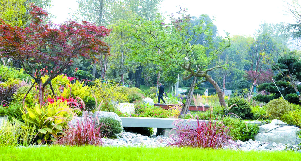 全國首批 成都入選城市更新試點城市